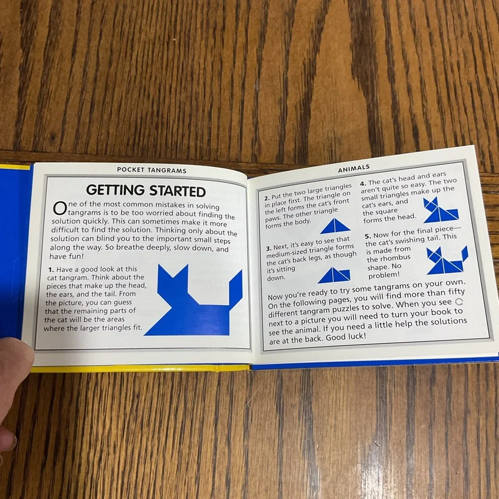 Pocket Tangrams Puzzle Books